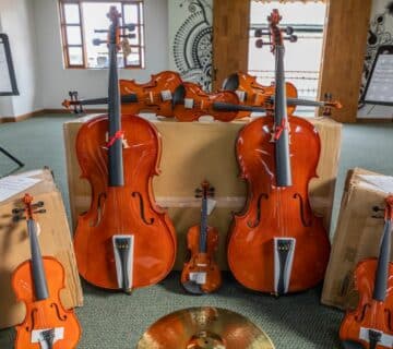 Instrumentos Rionegro 2 360x320