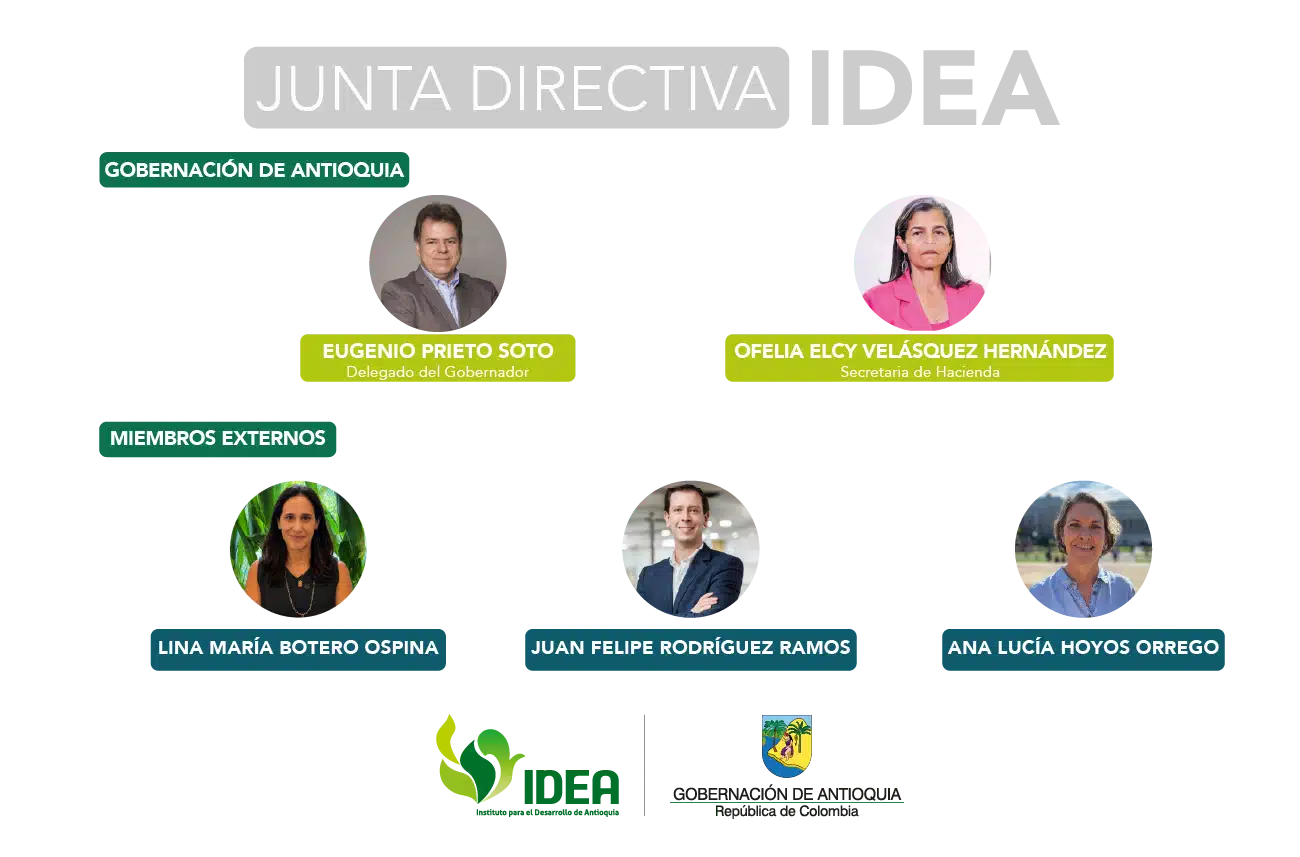 Junta Directiva IDEA